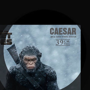 Meet your Posher, Cesar